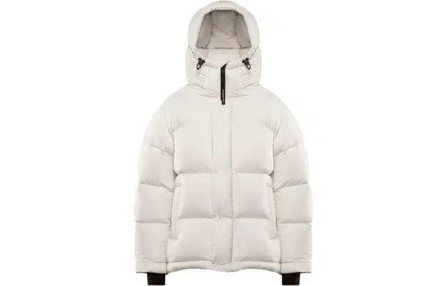 ARITZIA Supersize Puff Oversized 4