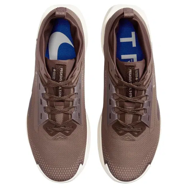 Nike Pegasus Trail 5 GORE-TEX