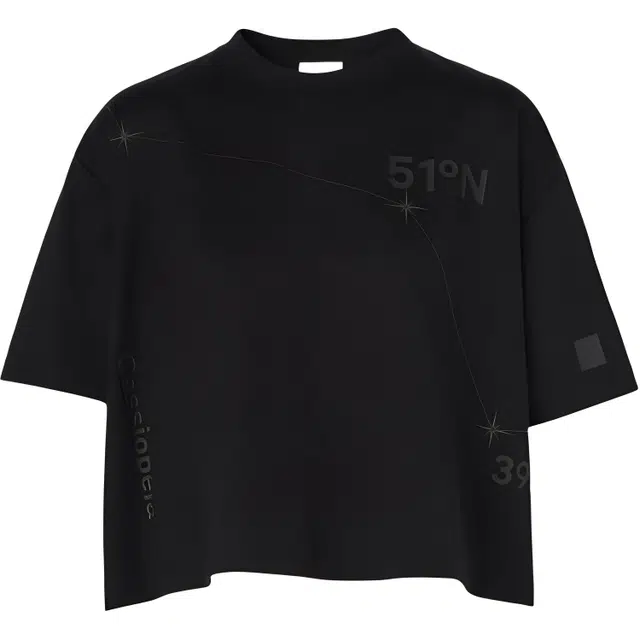 Burberry FW22 T