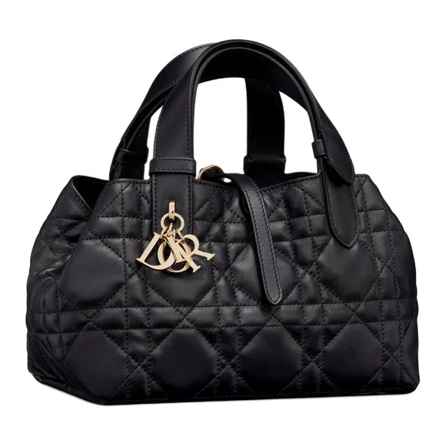 DIOR Toujours