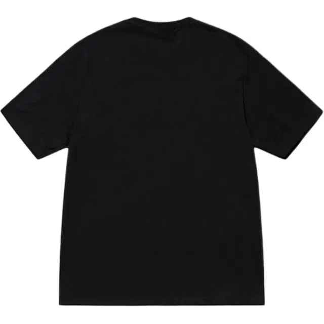 Stussy SS25 logoT