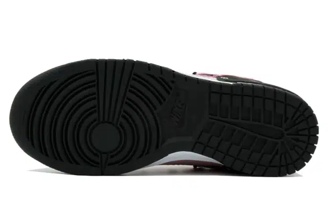 Nike Dunk Disrupt 2