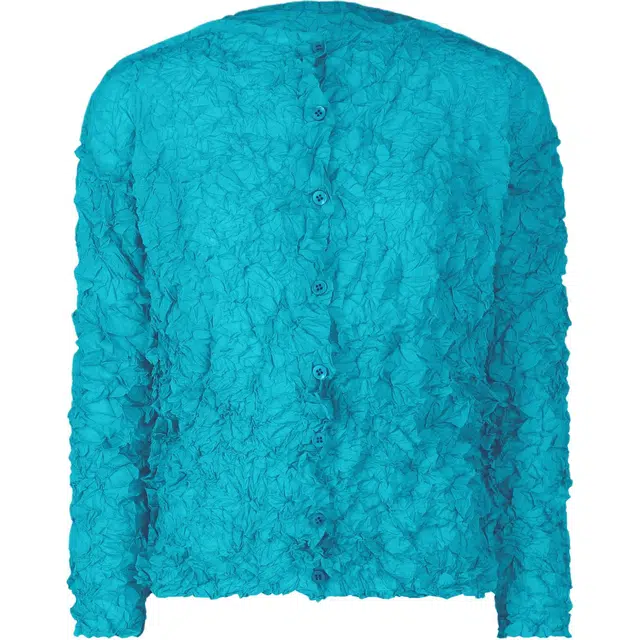 ISSEY MIYAKE SS25