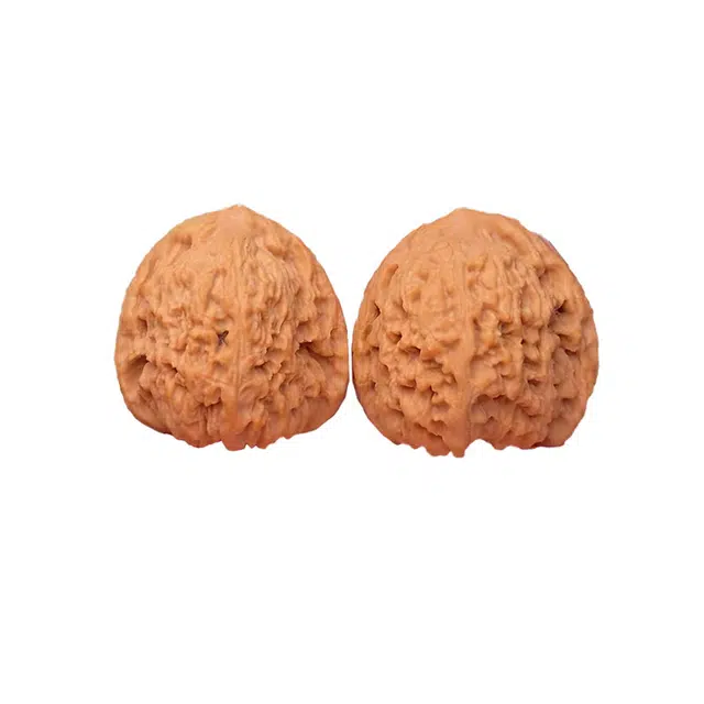 富珠汇 【南疆石把玩】深山老树小众南疆石狮子头手捻新中式复古财源滚滚平安喜乐上岸好运转运 文玩核桃 把件 男女同款情侣款