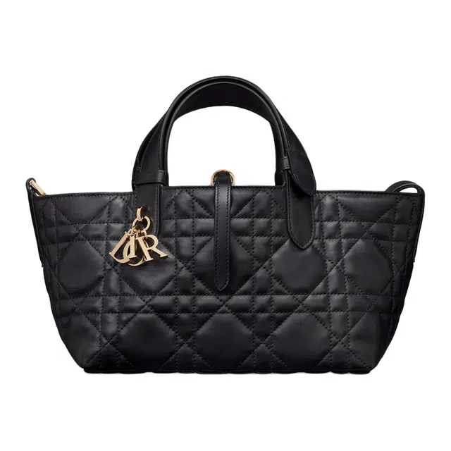 DIOR Toujours