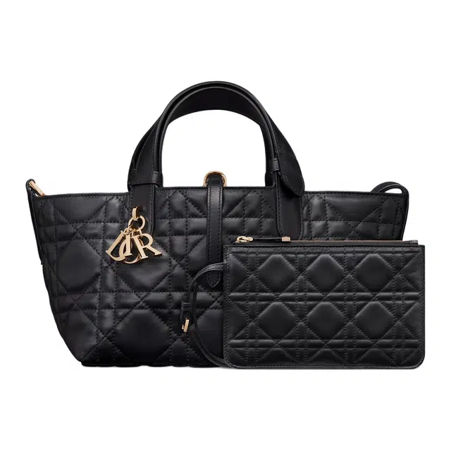DIOR Toujours