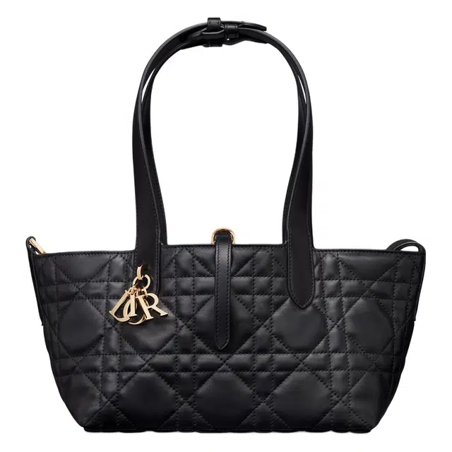 DIOR Toujours