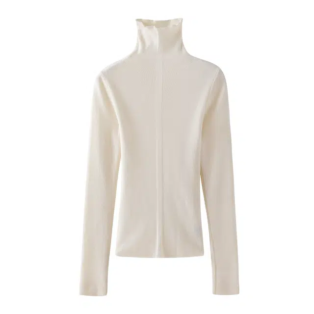 花栗鼠小姐 肌底衣舒适弹力内搭高领打底衫针织衫 女款