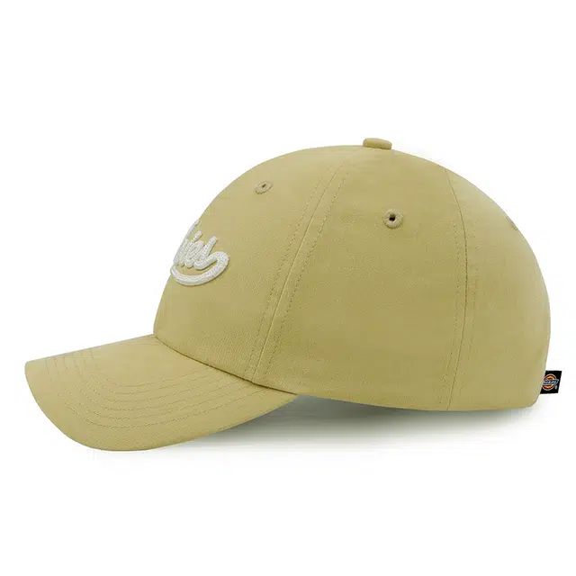 Dickies