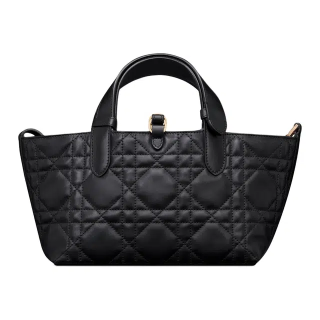 DIOR Toujours