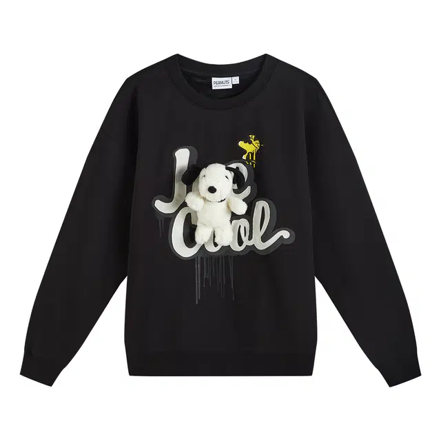 fun x Snoopy