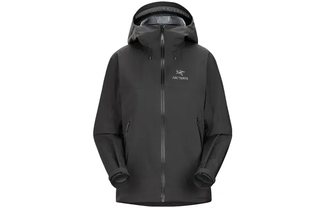 Arcteryx beta ar stormhood Logo