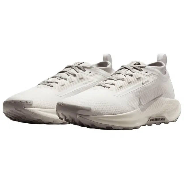 Nike Pegasus Trail 5 GORE-TEX