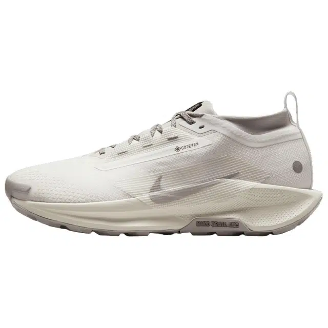 Nike Pegasus Trail 5 GORE-TEX