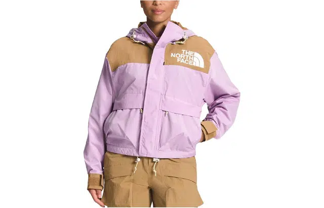 The North Face Low-Fi Hi-Tek Hoodie Pink