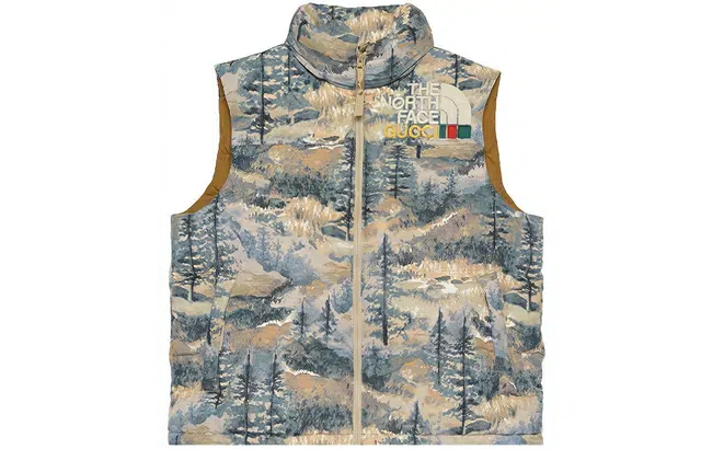 GUCCI GUCCI x THE NORTH FACE x THE NORTH FACE SS22