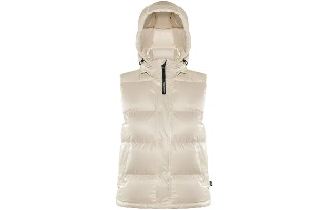 ARITZIA Super Puff Liquid Shine 5