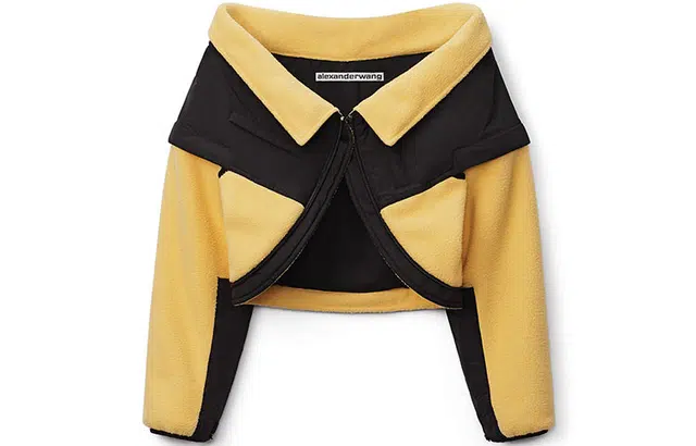 alexander wang FW21