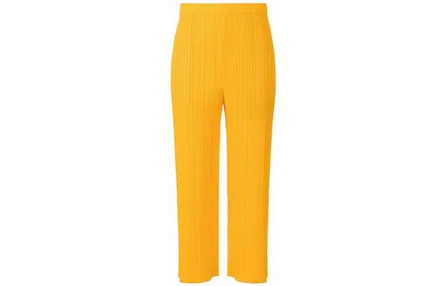 PLEATS PLEASE ISSEY MIYAKE FW22