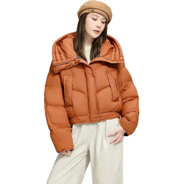 鸭鸭 韩版连帽加厚休闲时尚纯色短款长袖羽绒服 女款