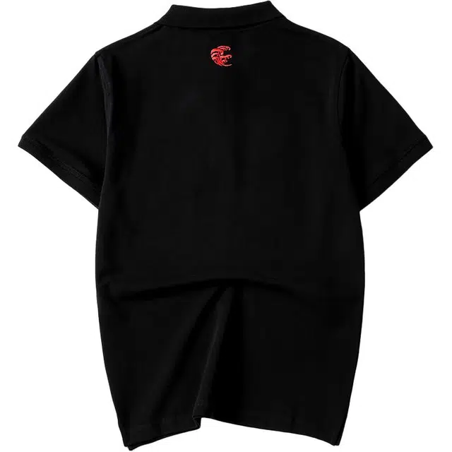 -V- Polo