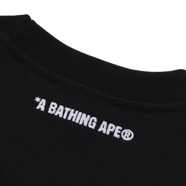 BAPE SS25 T