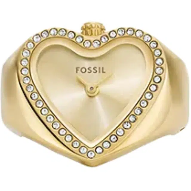 FOSSIL 18mm 50