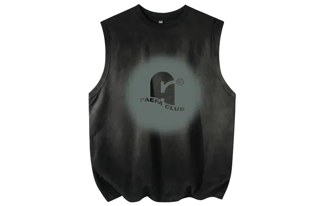 PAEFA logo
