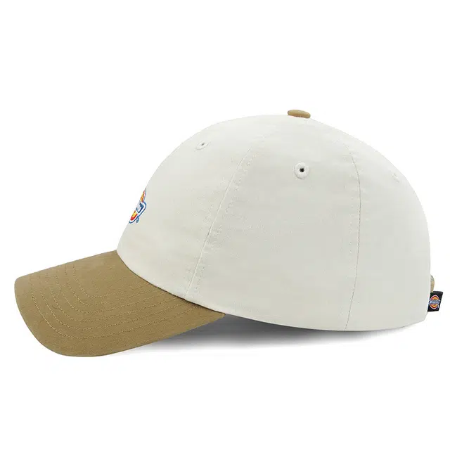 Dickies logo