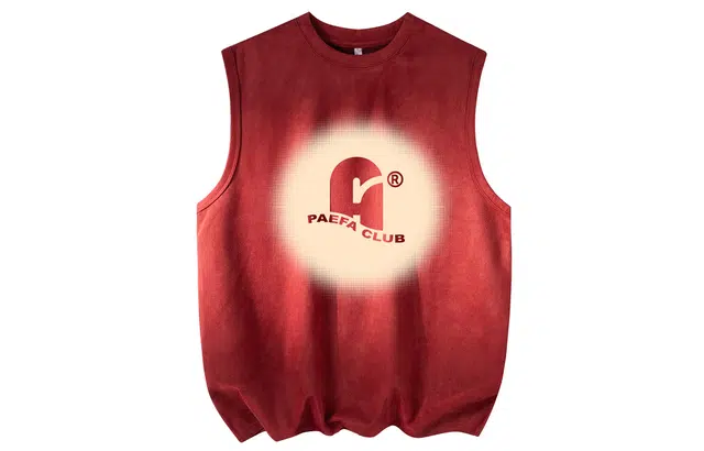 PAEFA logo