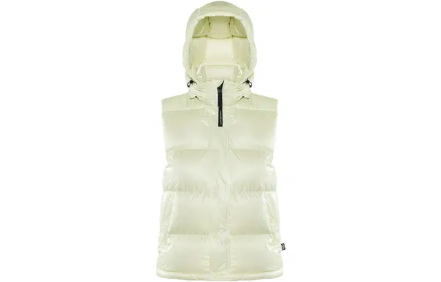 ARITZIA Super Puff Liquid Shine 5