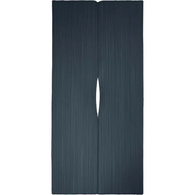 PLEATS PLEASE ISSEY MIYAKE SS25