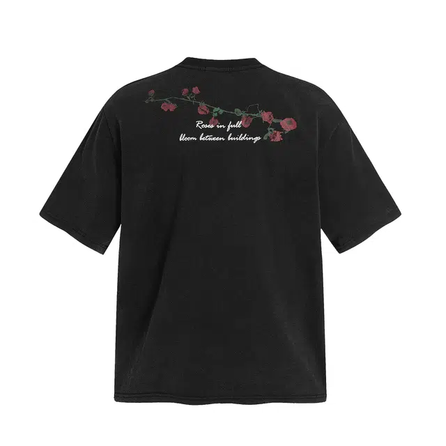 WLNEXT T