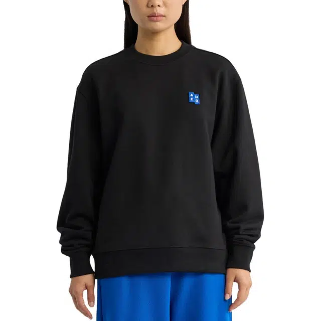 ADER ERROR Logo