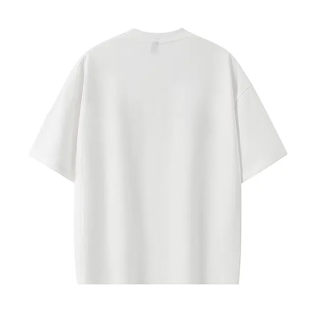 PAEFA T