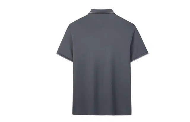 CSKS LogoPolo