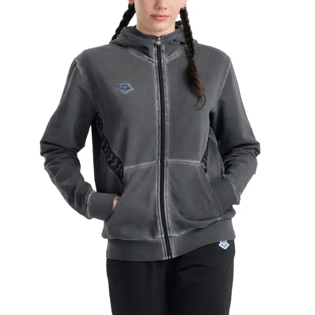 arena Icons Hooded Jacket