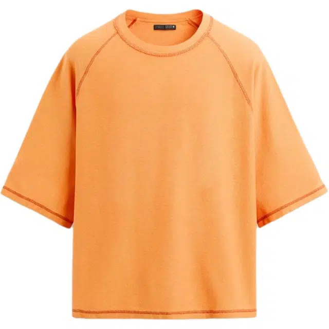 ZARA T