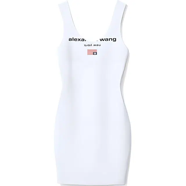 alexander wang FW21 V