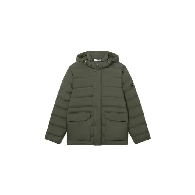 AIGLE