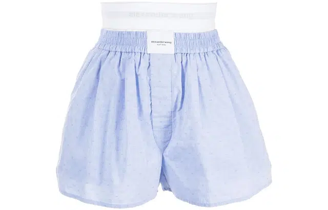 alexander wang SS23 Logo