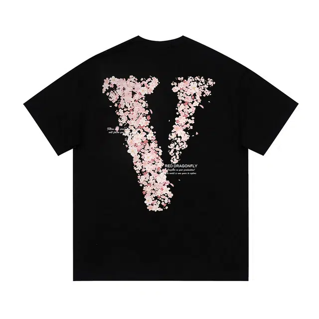 VlogoT