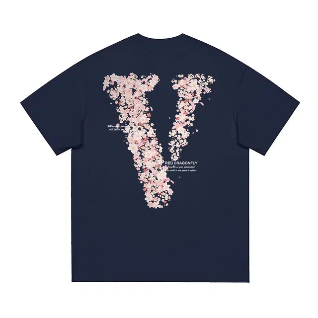VlogoT