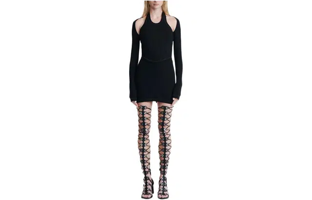 DION LEE