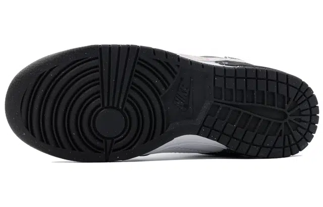 Nike Dunk Disrupt 2