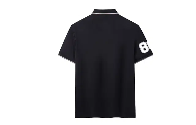 CSKS LogoPolo