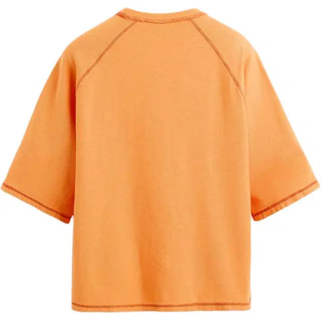 ZARA T