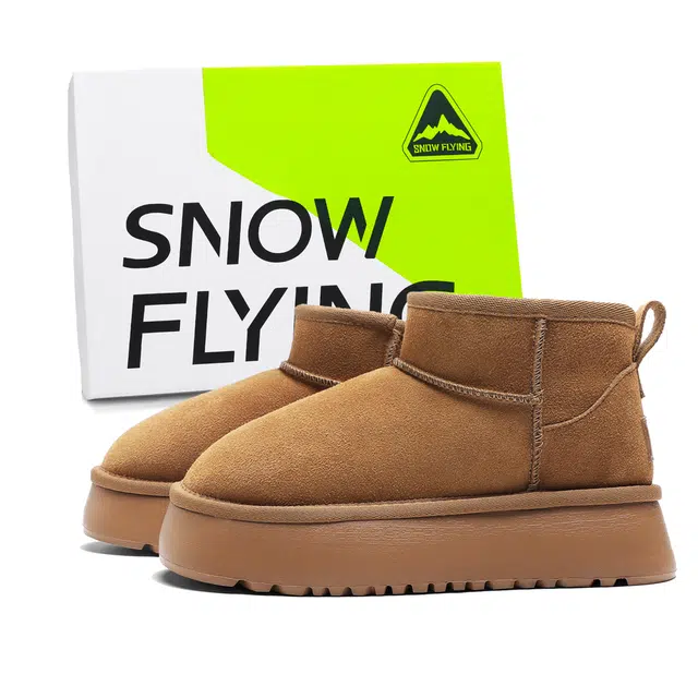 SNOW FLYING