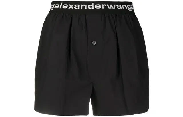 alexander wang Logo