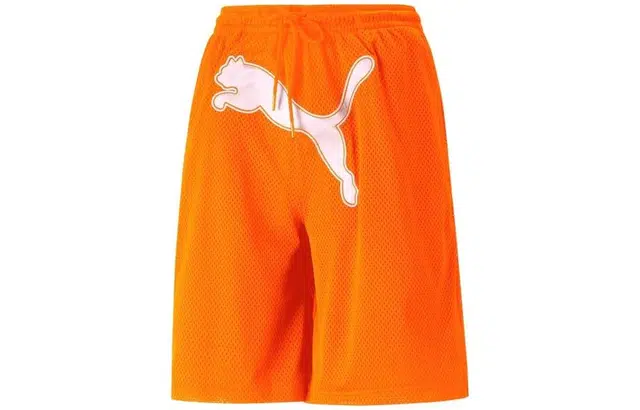 Puma x DUA LIPA Logo